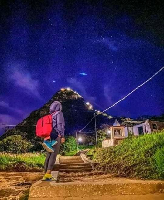 Lily Adam's Peak * Nallathanniya