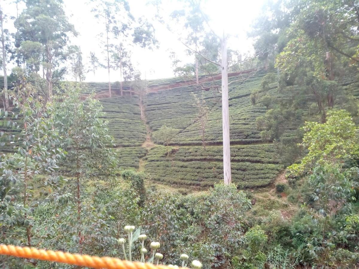 Lily Adam's Peak Couette-café Nallathanniya