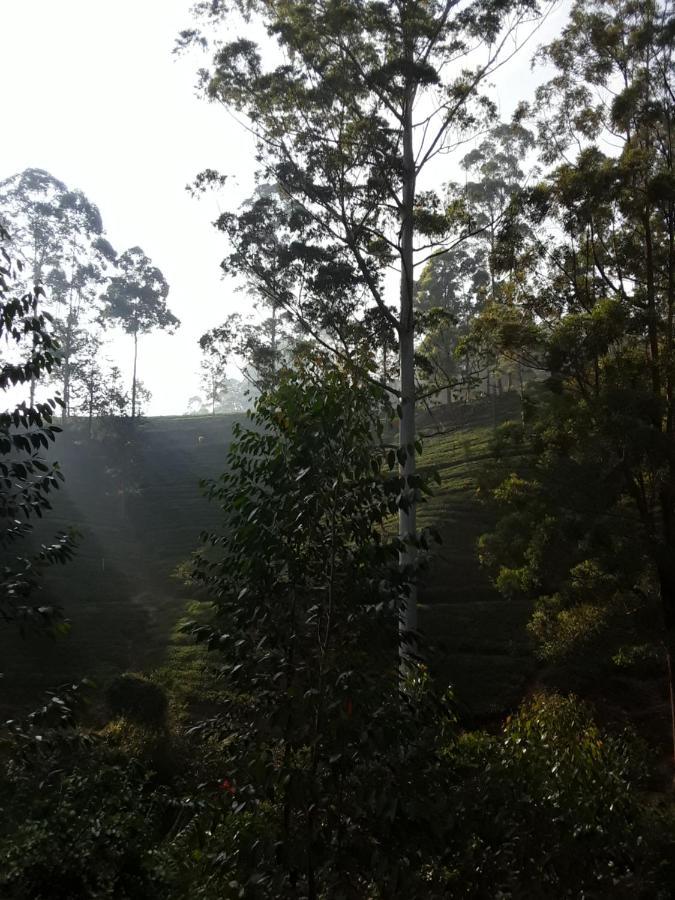 Couette-café Lily Adam's Peak